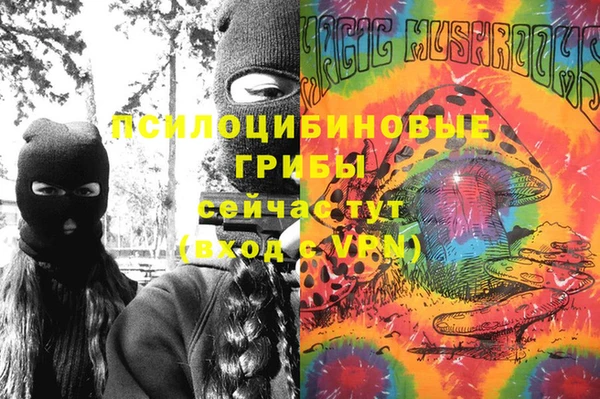 a pvp Богородицк