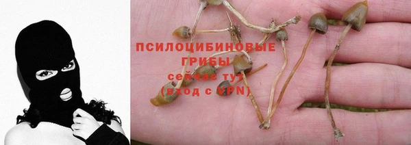 твердый Богородск
