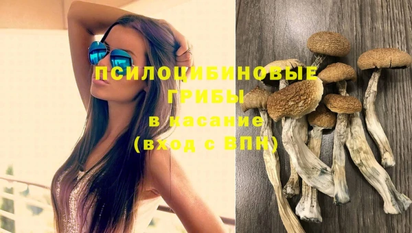 a pvp Богородицк